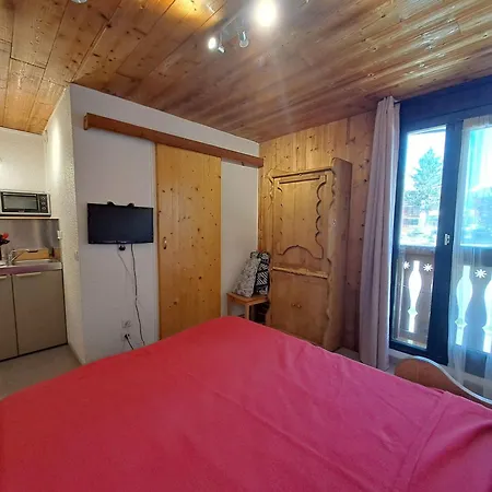 Studette Renovee 2 Personnes, Centre - Fr-1-516-134 * Les Deux Alpes